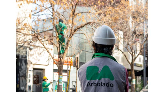 Arbolado